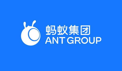 螞蟻集團(tuán)在渝成立數(shù)字天螞公司，注冊(cè)資本1億元加碼網(wǎng)絡(luò)技術(shù)服務(wù)